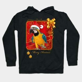 The blue-yellow macaw Hoodie